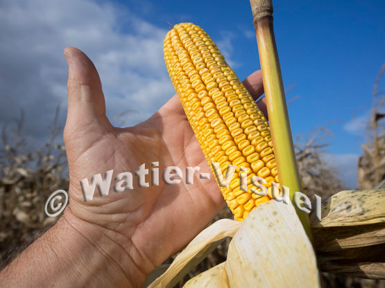 1101D706
