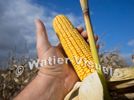 1101D707