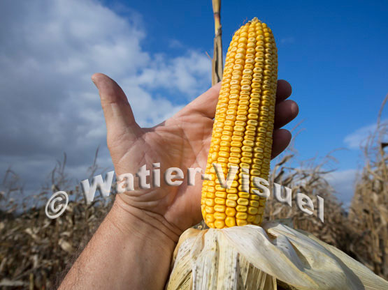 1101D714