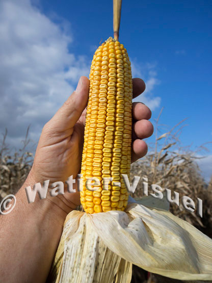 1101D715
