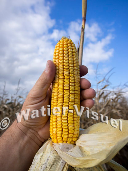 1101D722