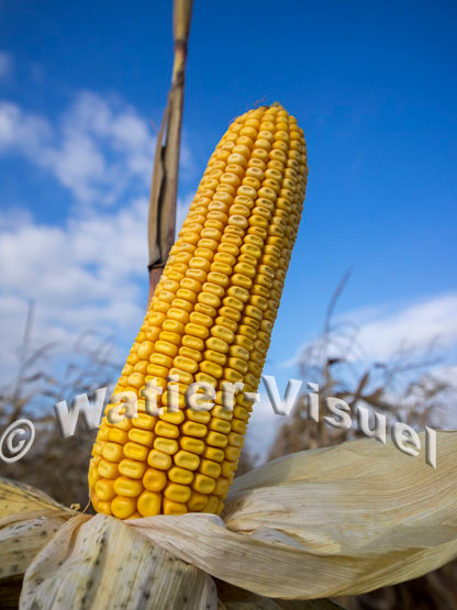 1101D723