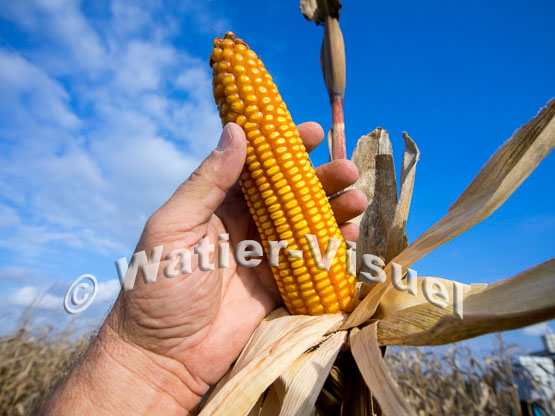 1101D755