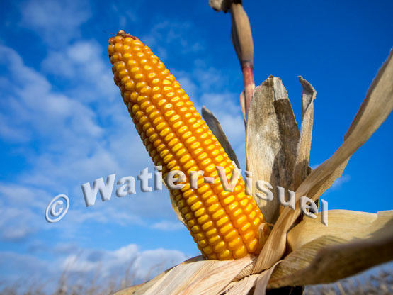 1101D758