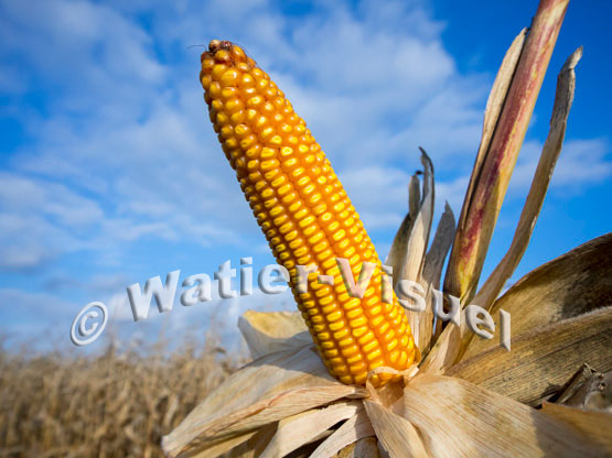 1101D759