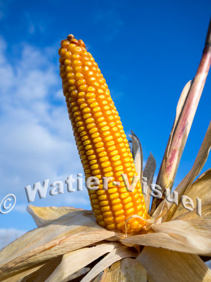 1101D760