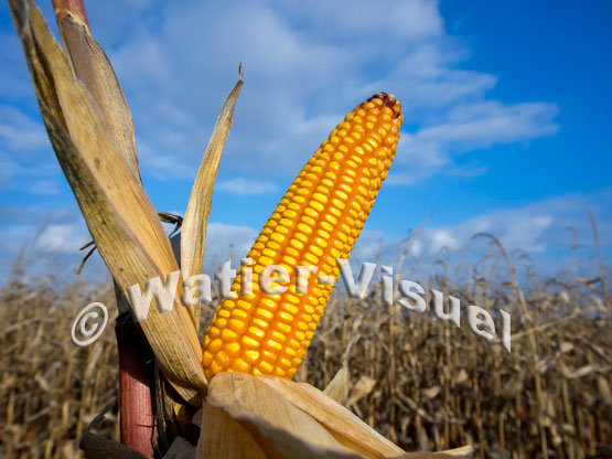1101D762