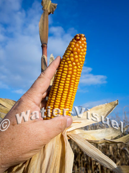 1101D764