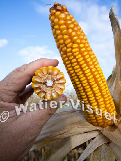 1101D773