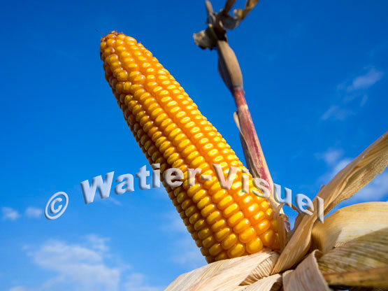 1101D783