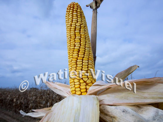 1101D791