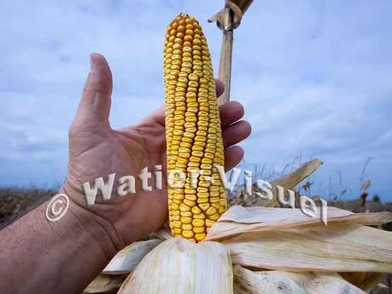 1101D800