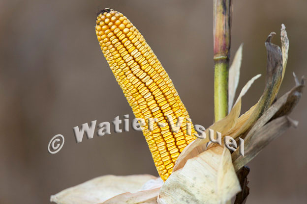 1101D820