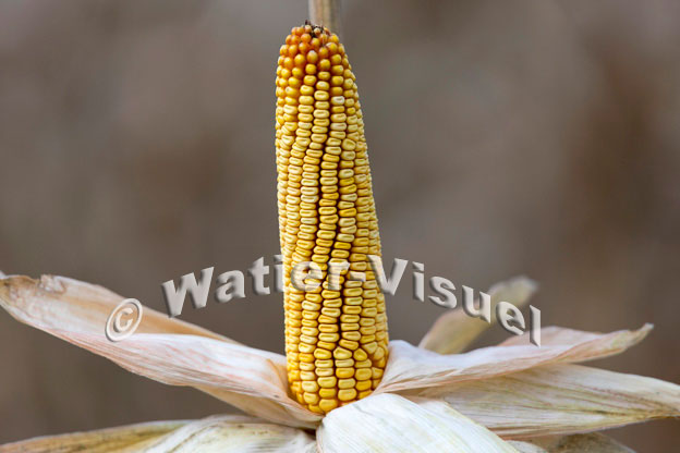 1101D824
