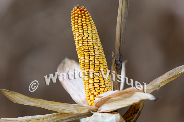 1101D828