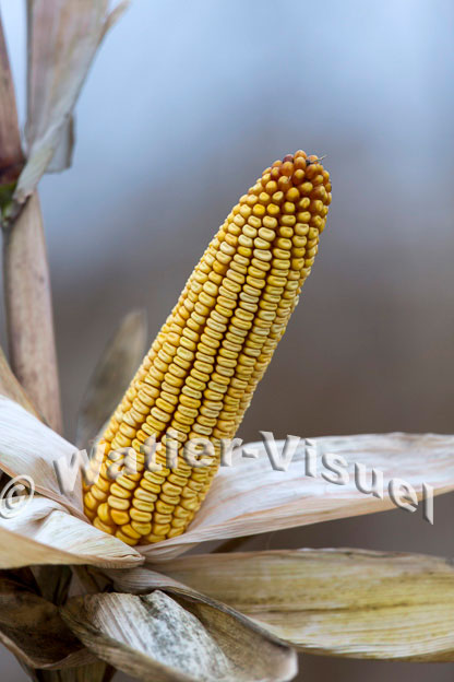 1101D834