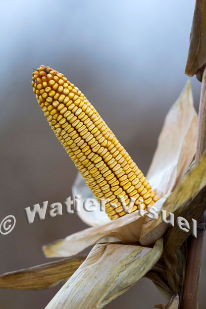 1101D835