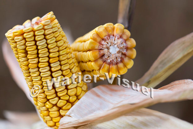 1101D837