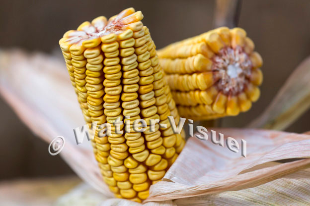1101D839
