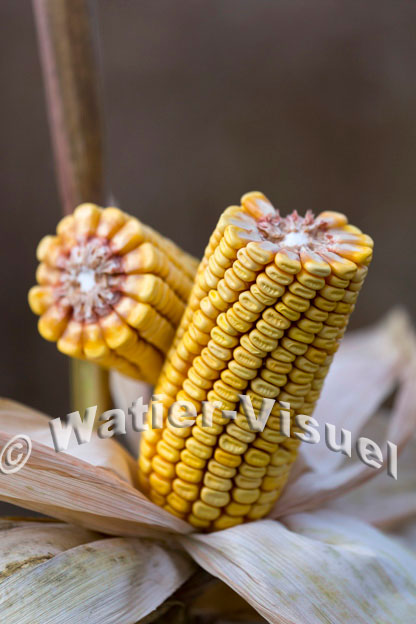 1101D841