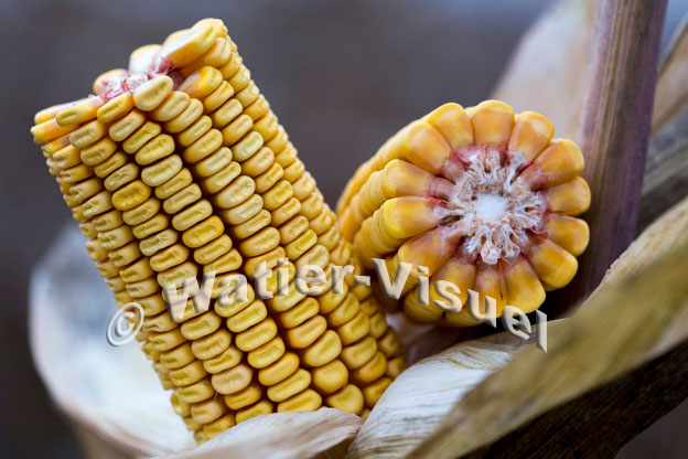 1101D843
