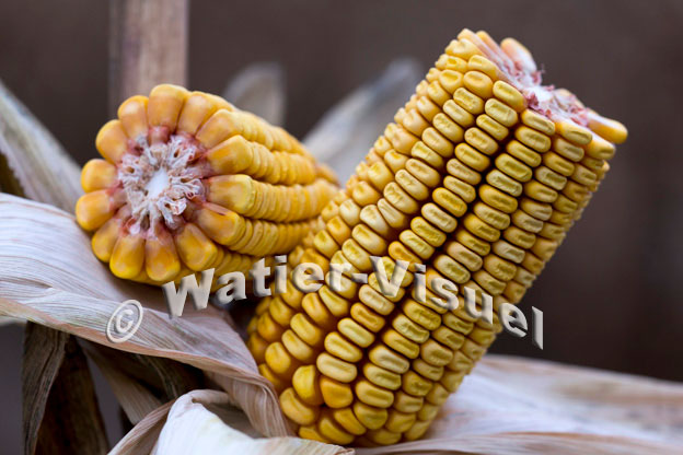 1101D847