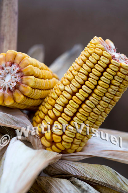 1101D848