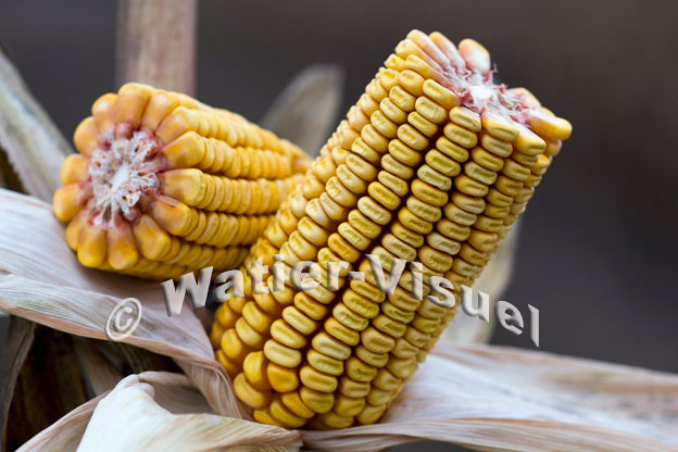 1101D849