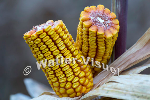 1101D852