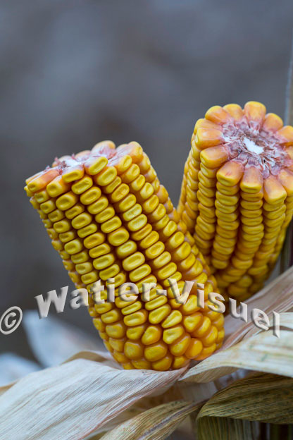 1101D853