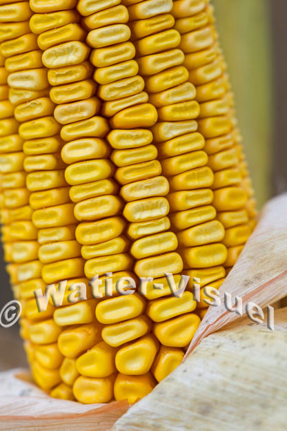 1101D857