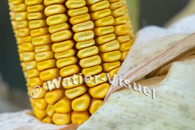 1101D858