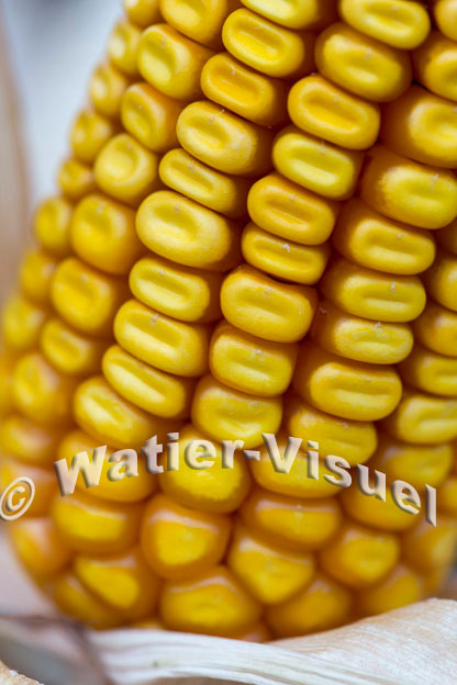 1101D861