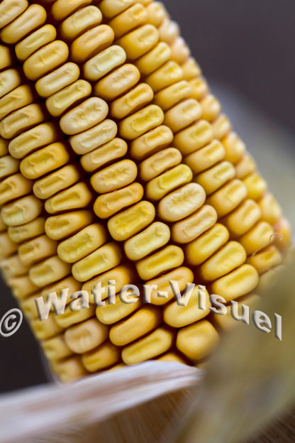 1101D869