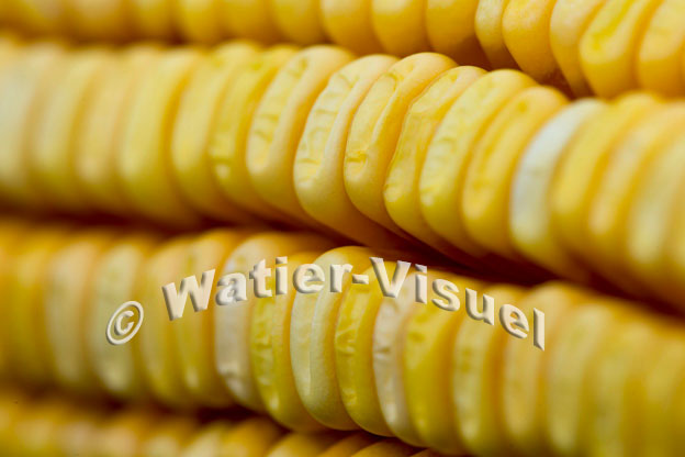 1101D880
