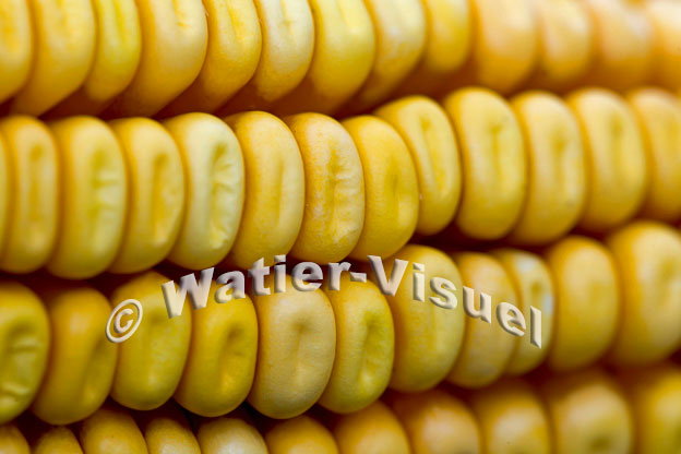 1101D889