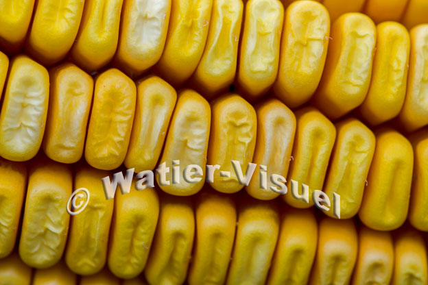 1101D890