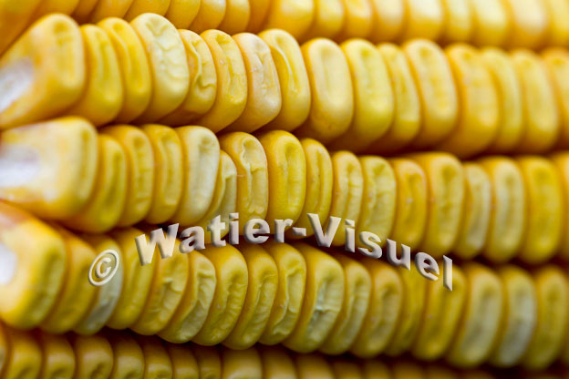 1101D891