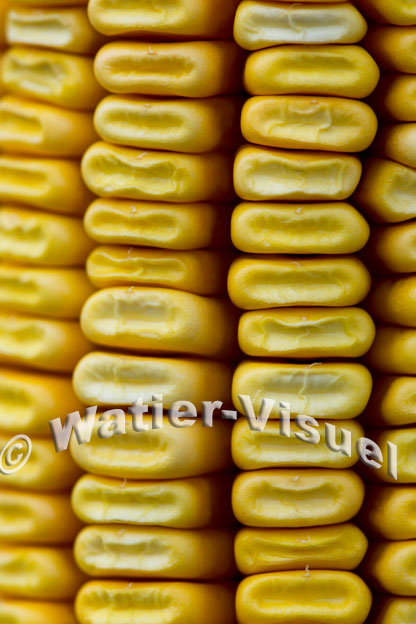 1101D893