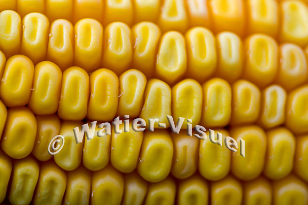 1101D895