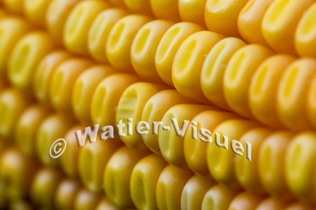 1101D898