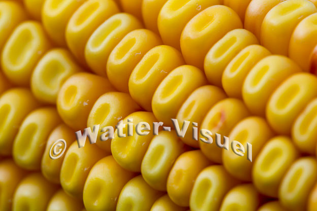 1101D901