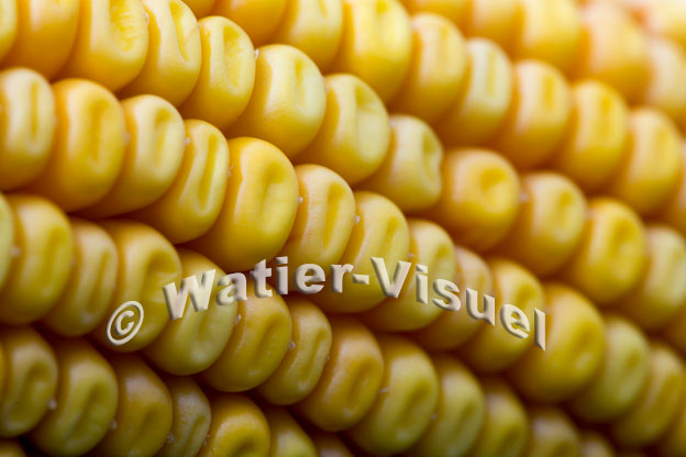 1101D902