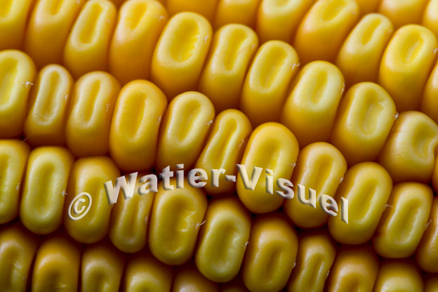 1101D904