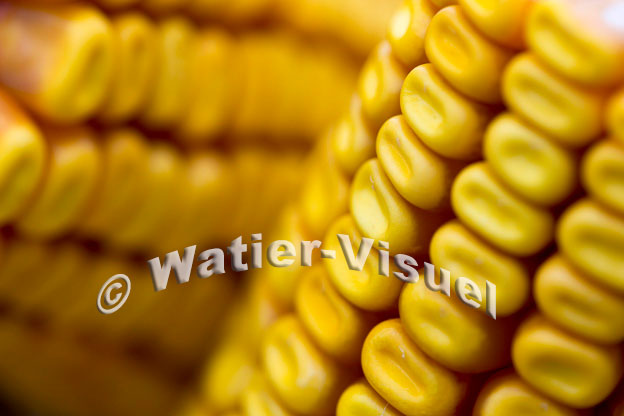 1101D979
