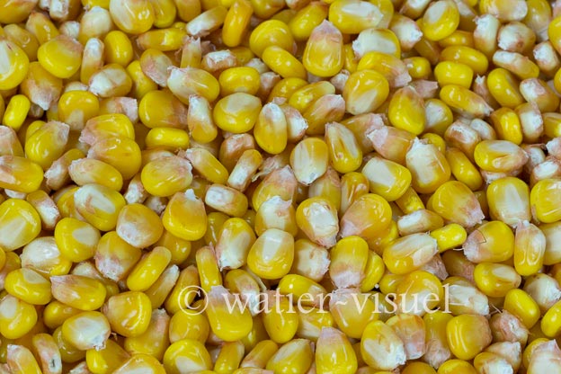 1127D103