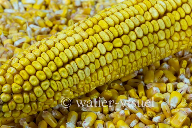 1127D166