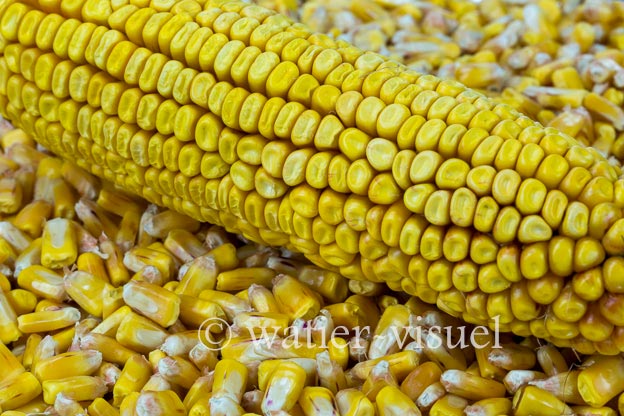 1127D167