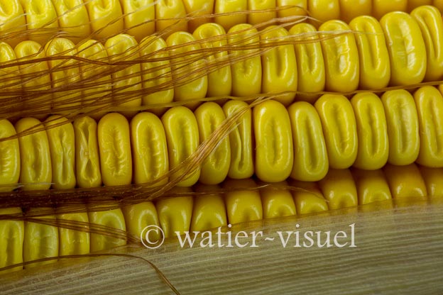 1127D259