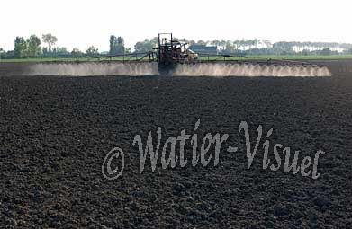 0388D029
